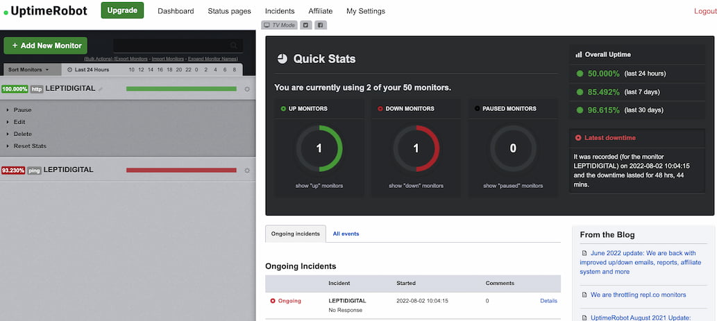 interface Uptime Robot