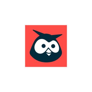 Logo Hootsuite