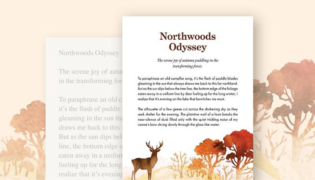 Template Document InDesign