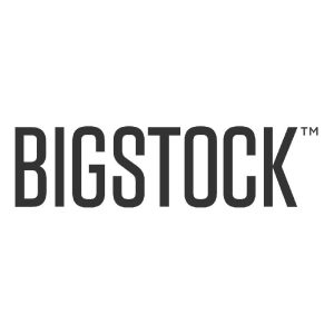 Logo Bigstock