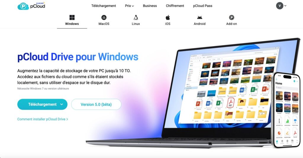 Aperçu de l'application Windows de pCloud