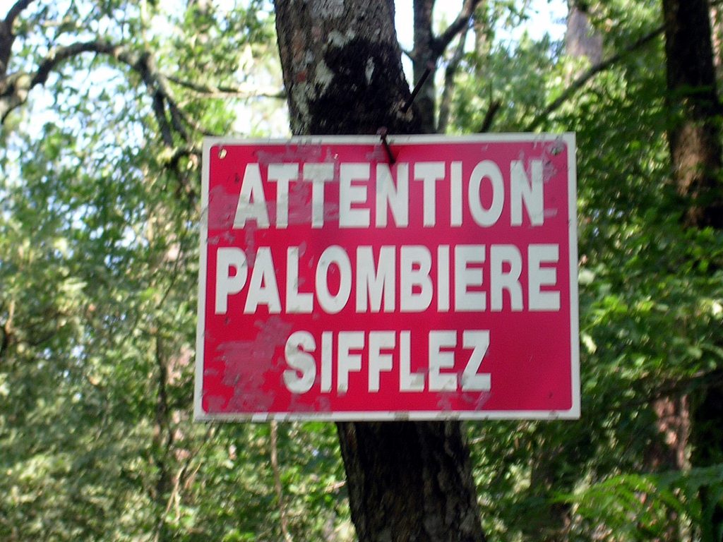 Les réseaux sociaux dans la chasse aux pigeons !