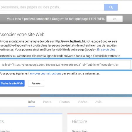 Google Plus : comment ajouter rel=publisher à votre site WordPress ?