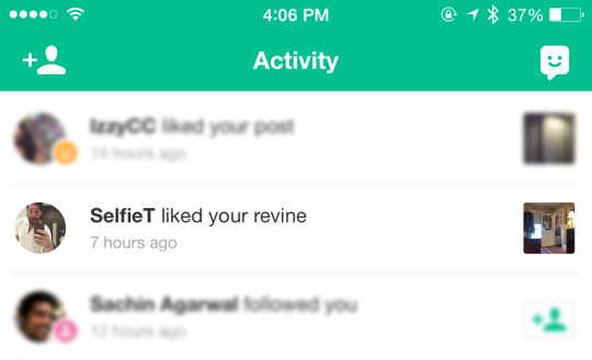 Revine activity Vine