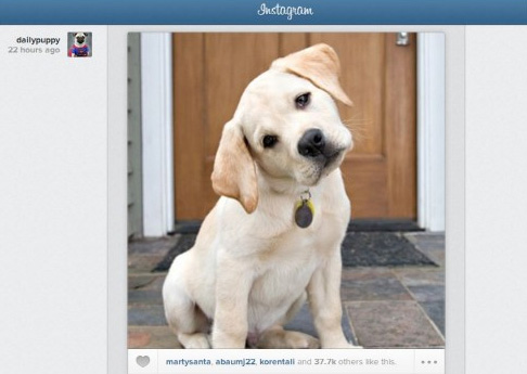 instagram algorithme