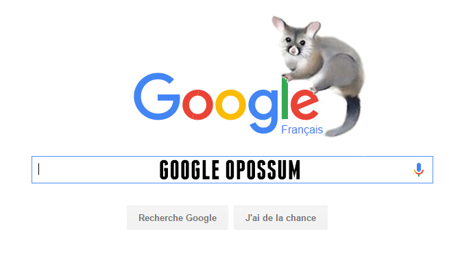 Google « Opossum », une nouvelle mise à jour algorithmique impactant le SEO local !