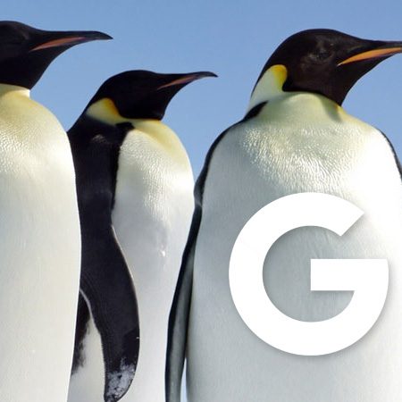 Google Penguin 4.0 est déployé en temps réel ! Quels impacts ?