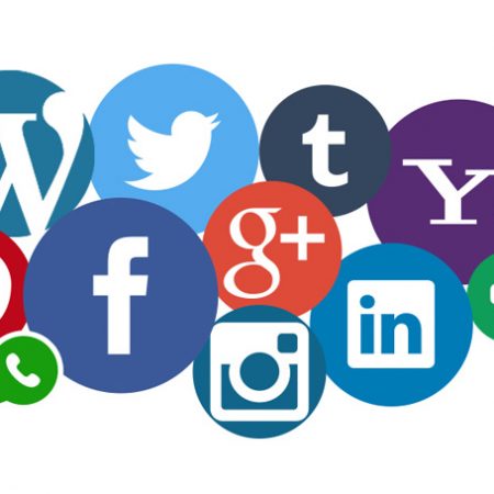 L&rsquo;usage des réseaux sociaux en France en 2017 (Infographie Harris Interactive)