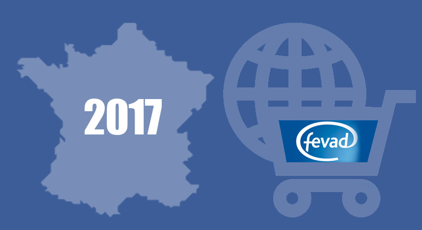 chiffres E-commerce France 2017