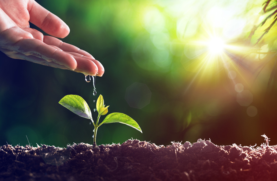 Lead nurturing