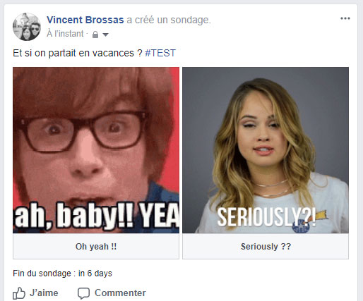 exemple sondage profil Facebook
