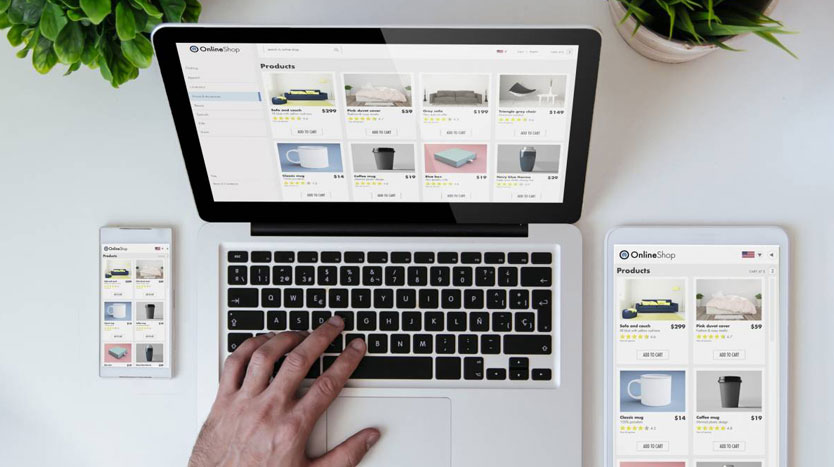 choix statut e-commerce
