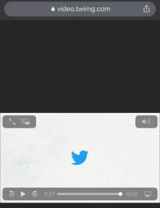 Comment Télécharger une Vidéo Twitter En Ligne ? (Simplement)