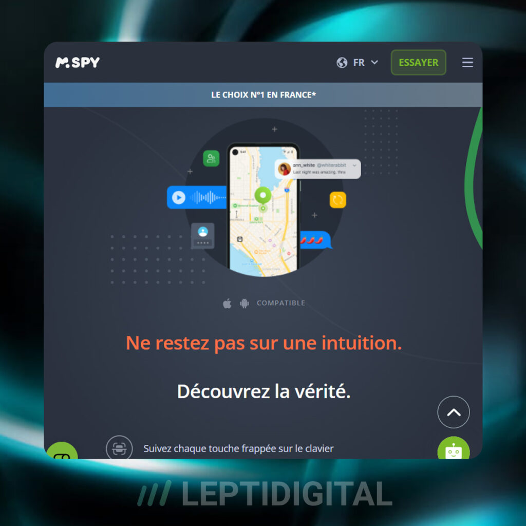 Aperçu du site web mSpy
