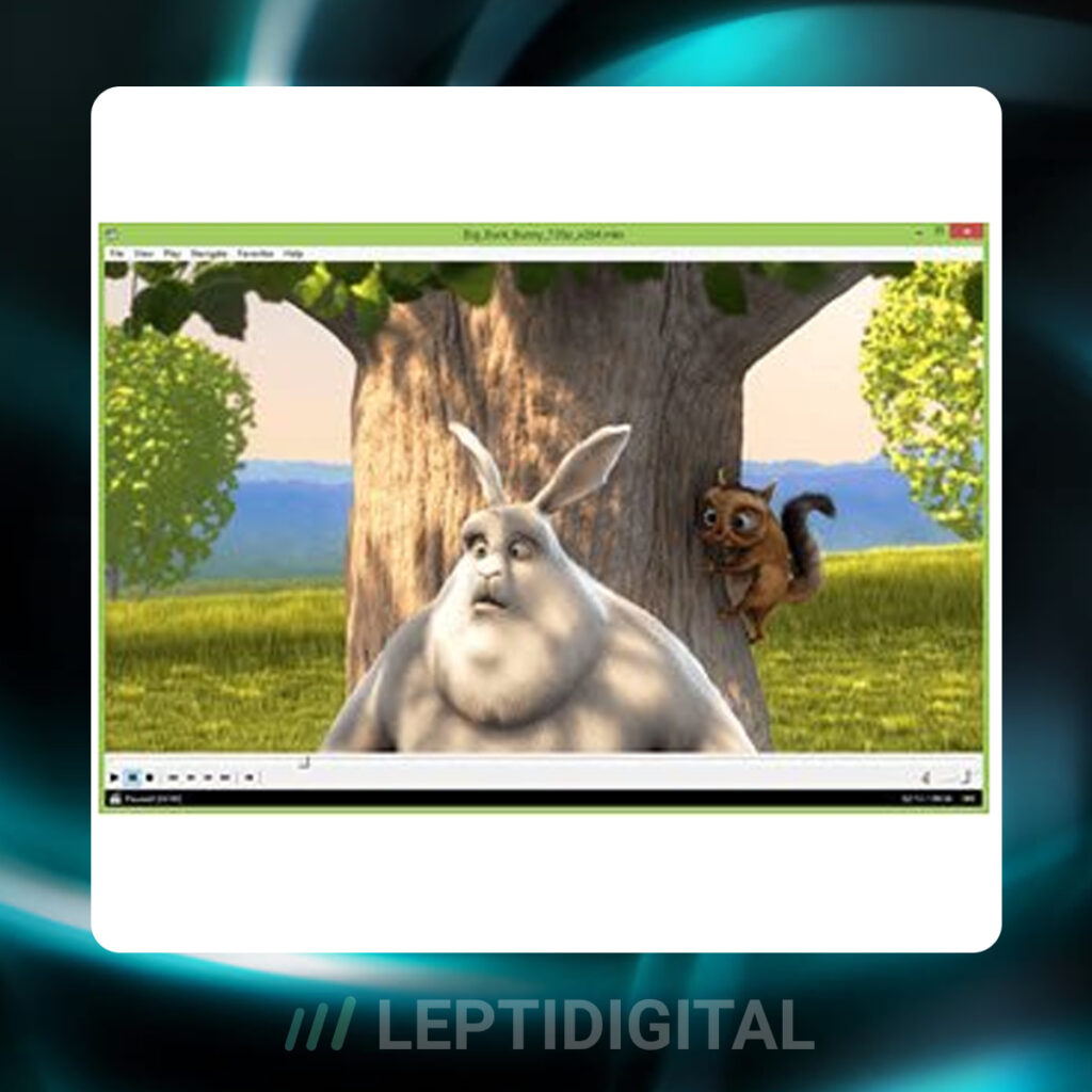 interface Media Player Classic