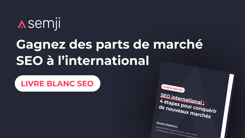 livre blanc SEO international