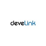 Logo Develink