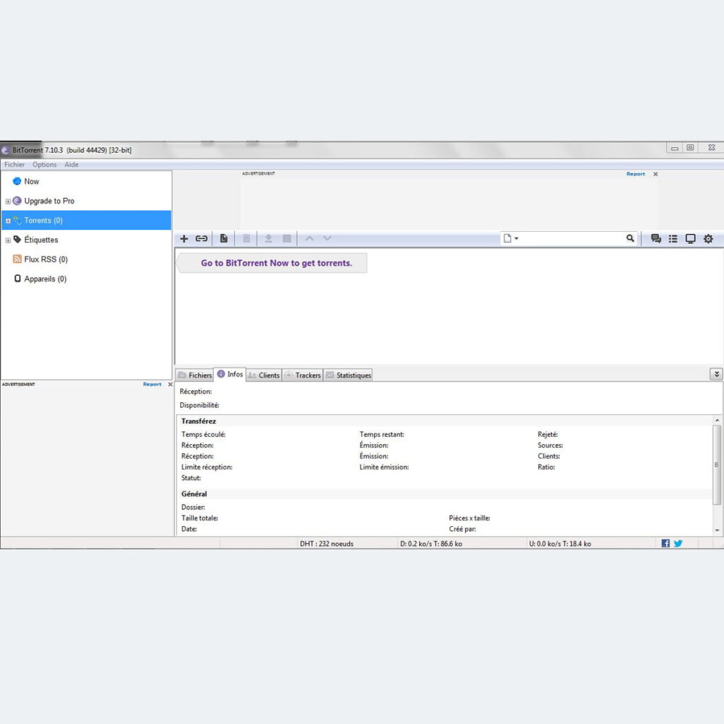Interface Bittorrent