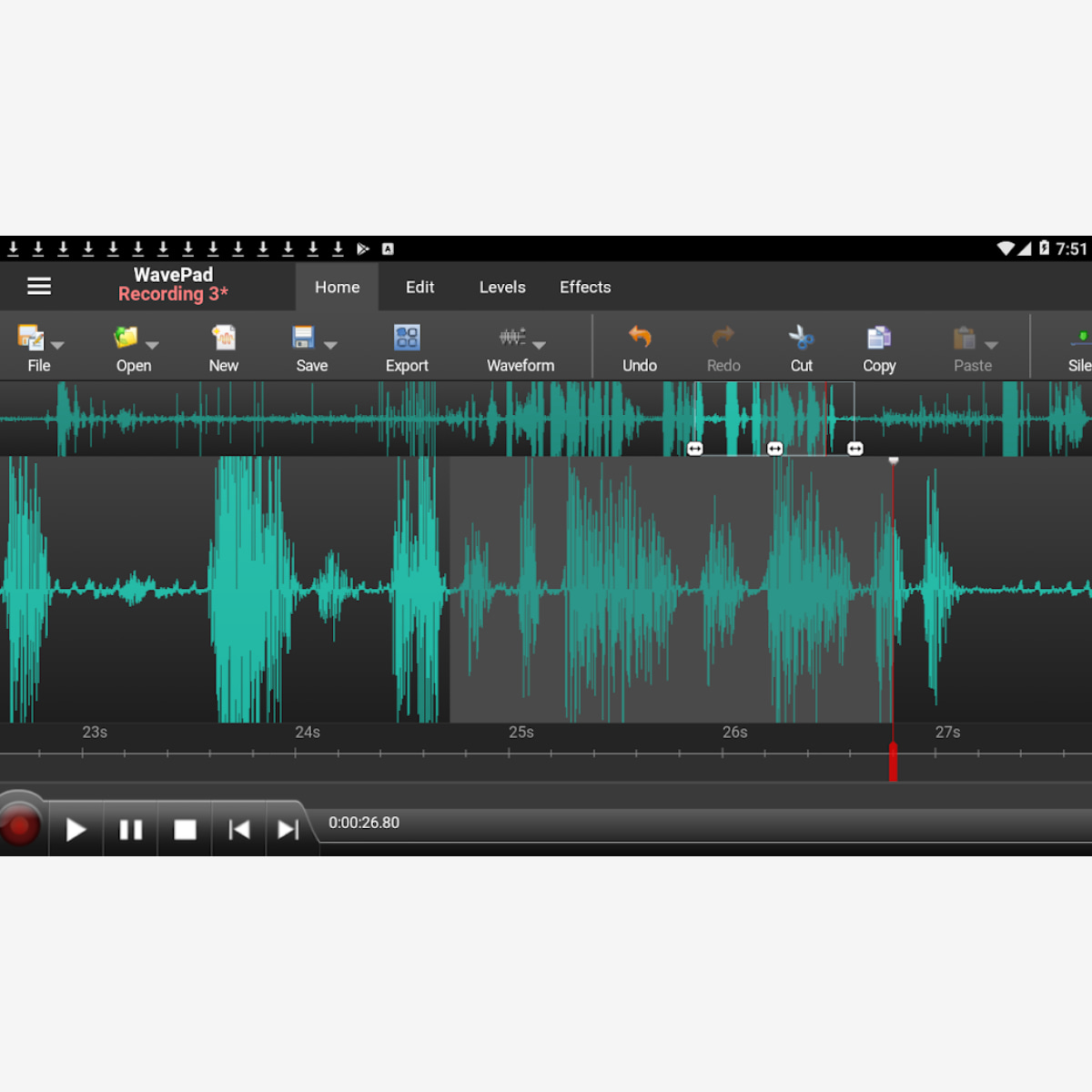 interface wavepad