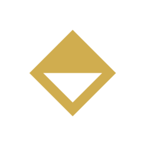 Logo Vook AI
