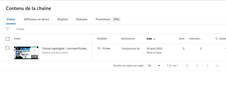Comment Mettre une Vidéo sur YouTube ? (Tutoriel, Conseils + FAQ)