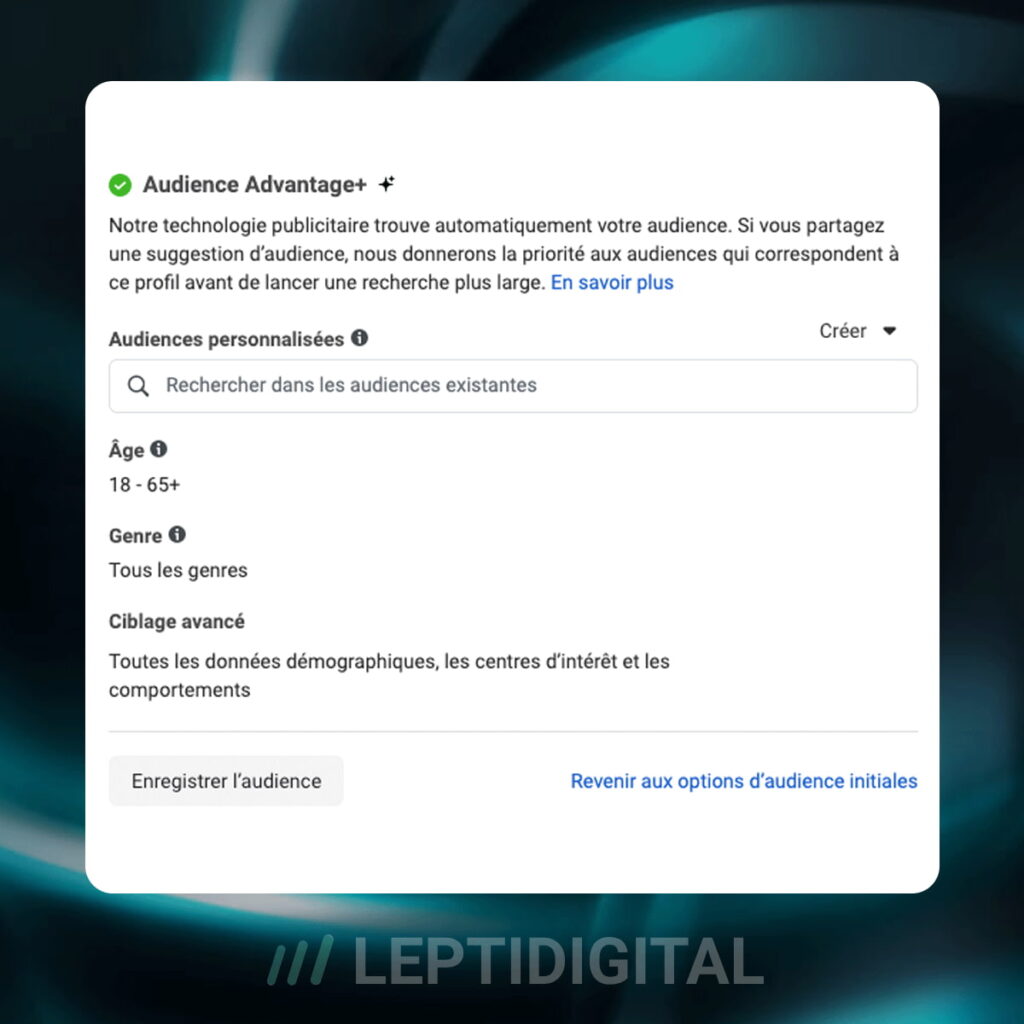 Ciblage Audience Instagram Ads