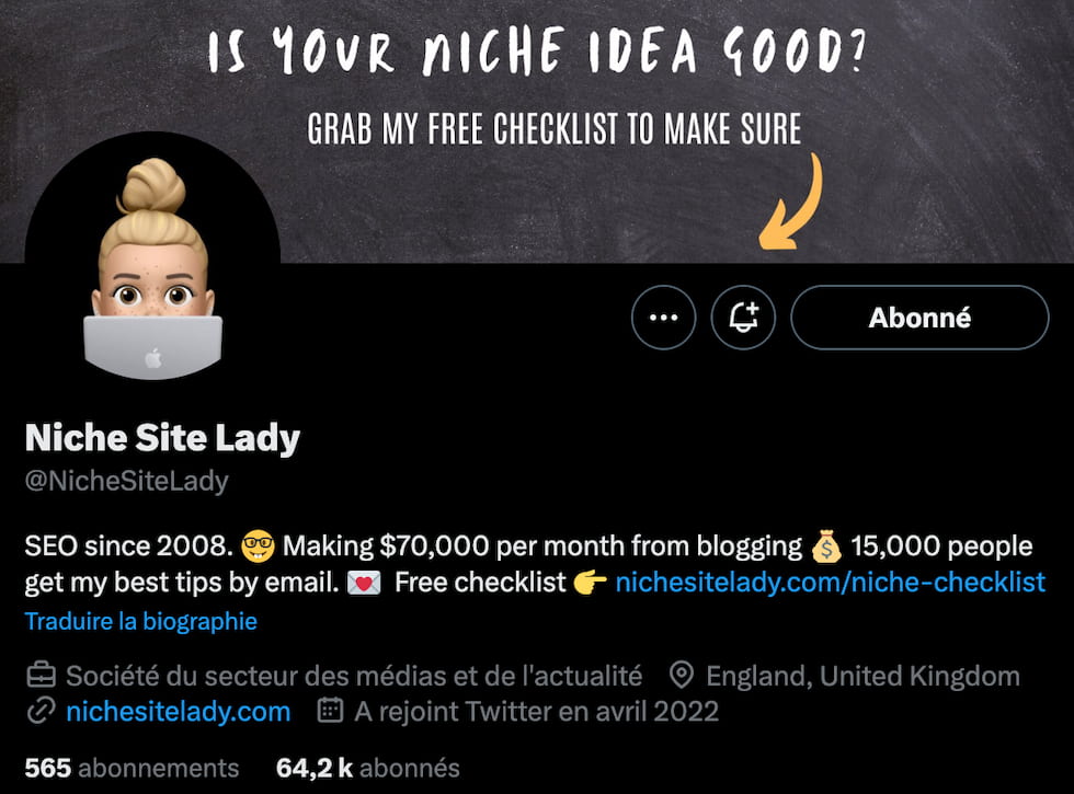 The Niche Site Lady