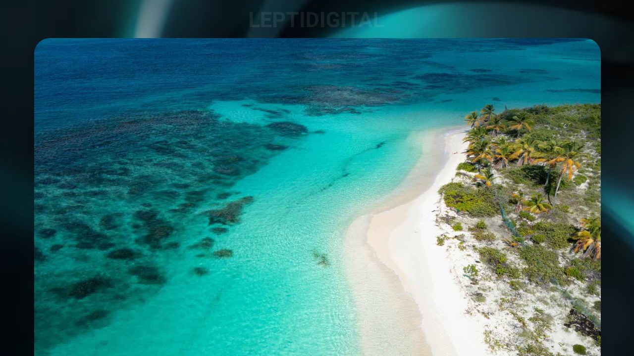 Anguilla l'archipel qui tire du profit grâce à l'ia