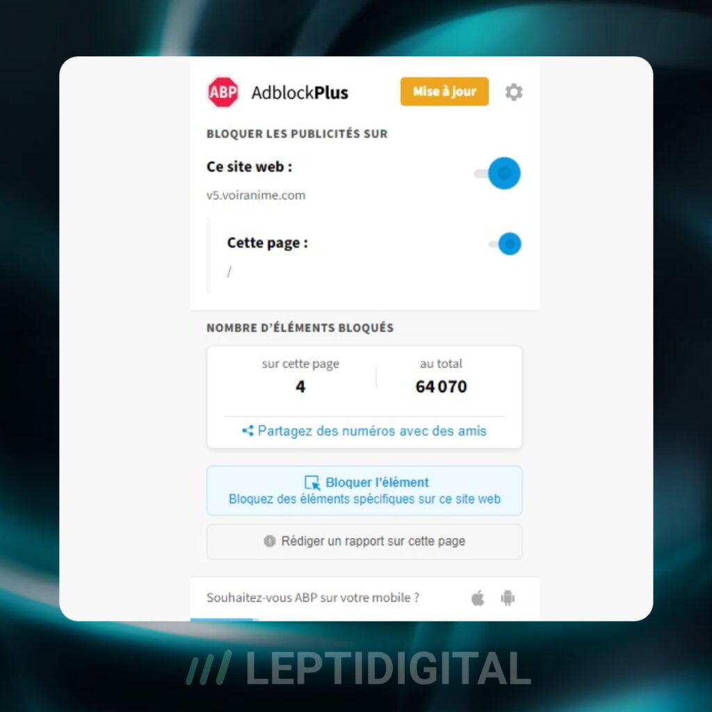 Interface adblock plus