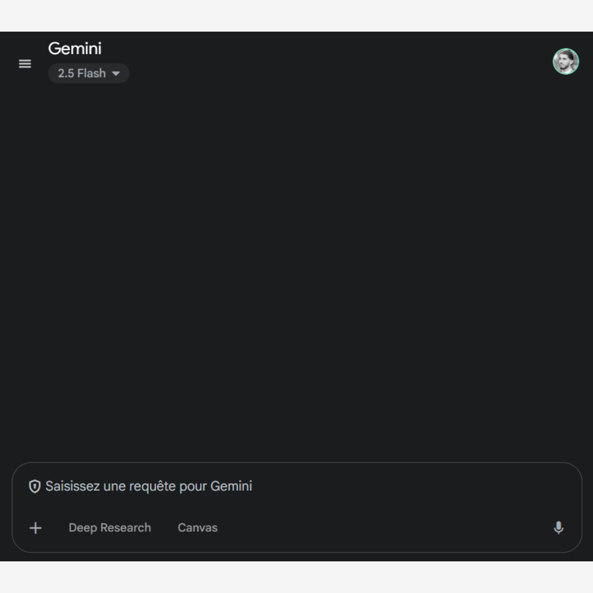 gemini interface