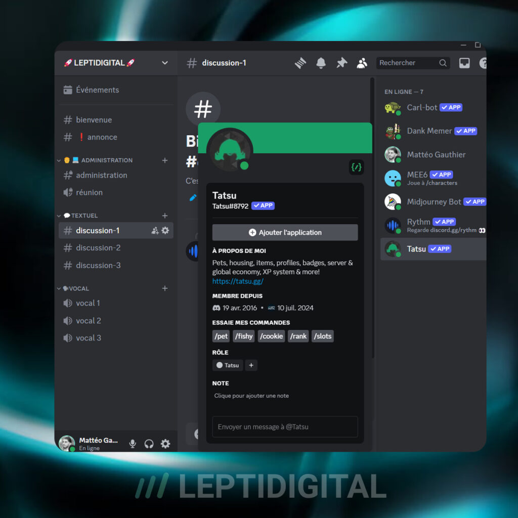 profil discord tatsu
