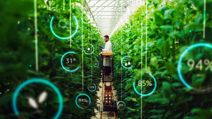 formation développement durable, intelligence artificielle environnement