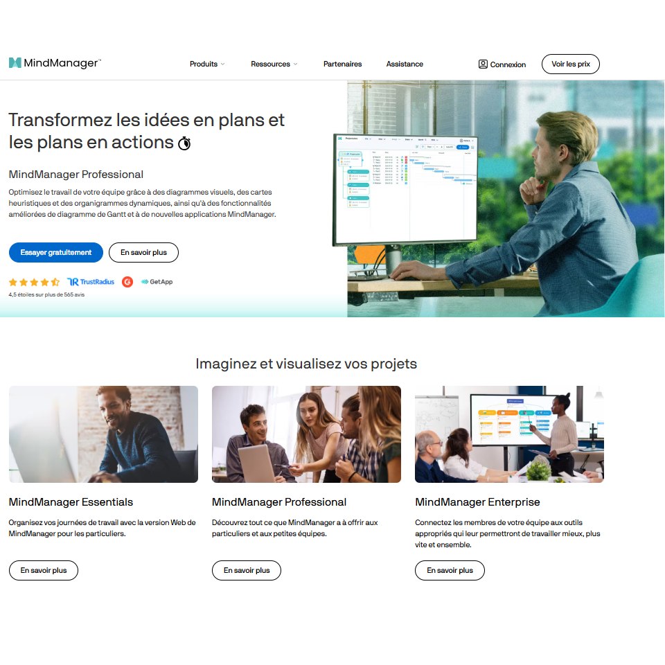 Aperçu Mindmanager
