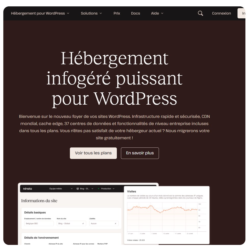Aperçu Web Kinsta