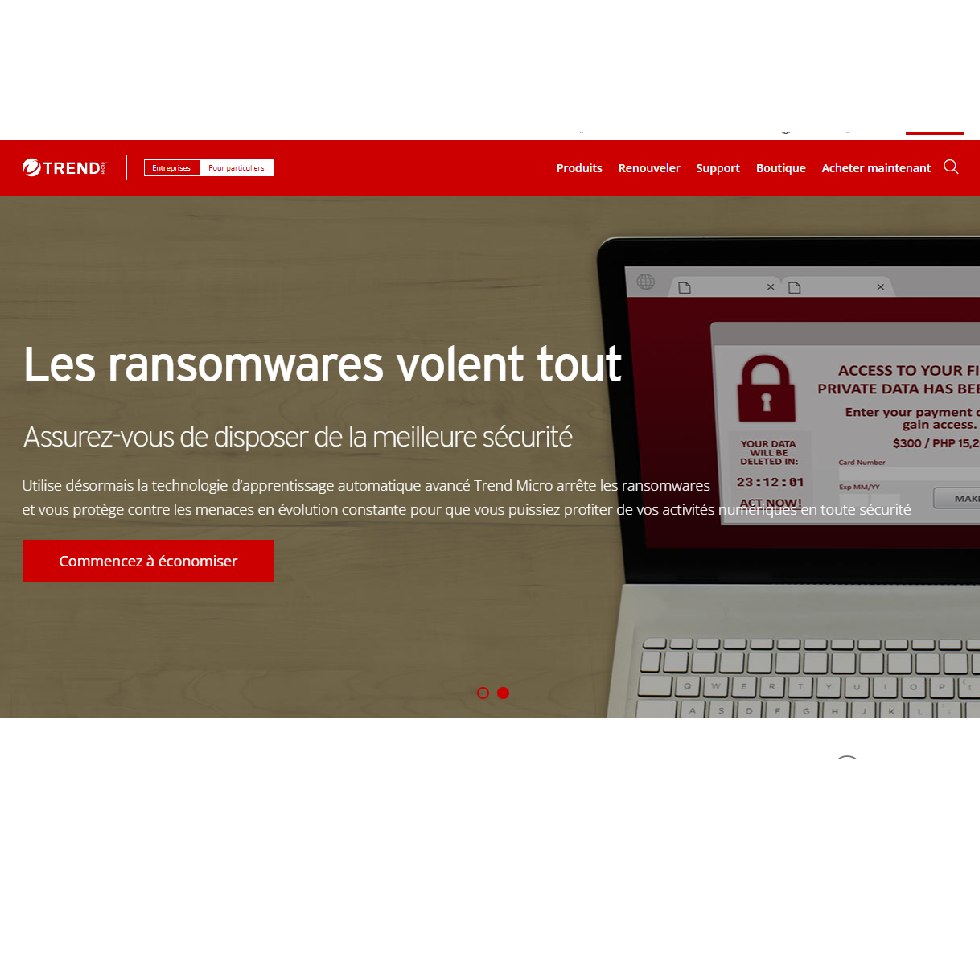 Aperçu interface web Trend Micro