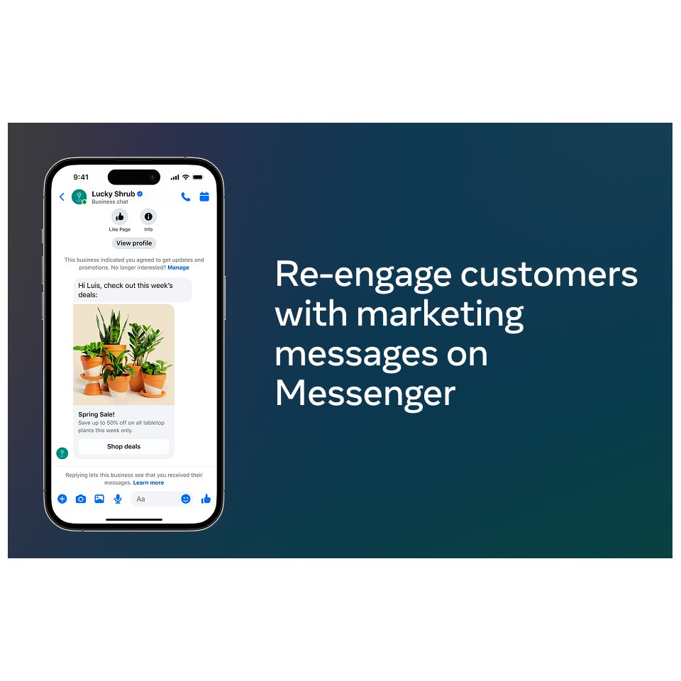 Aperçu publicité dans les messages - META