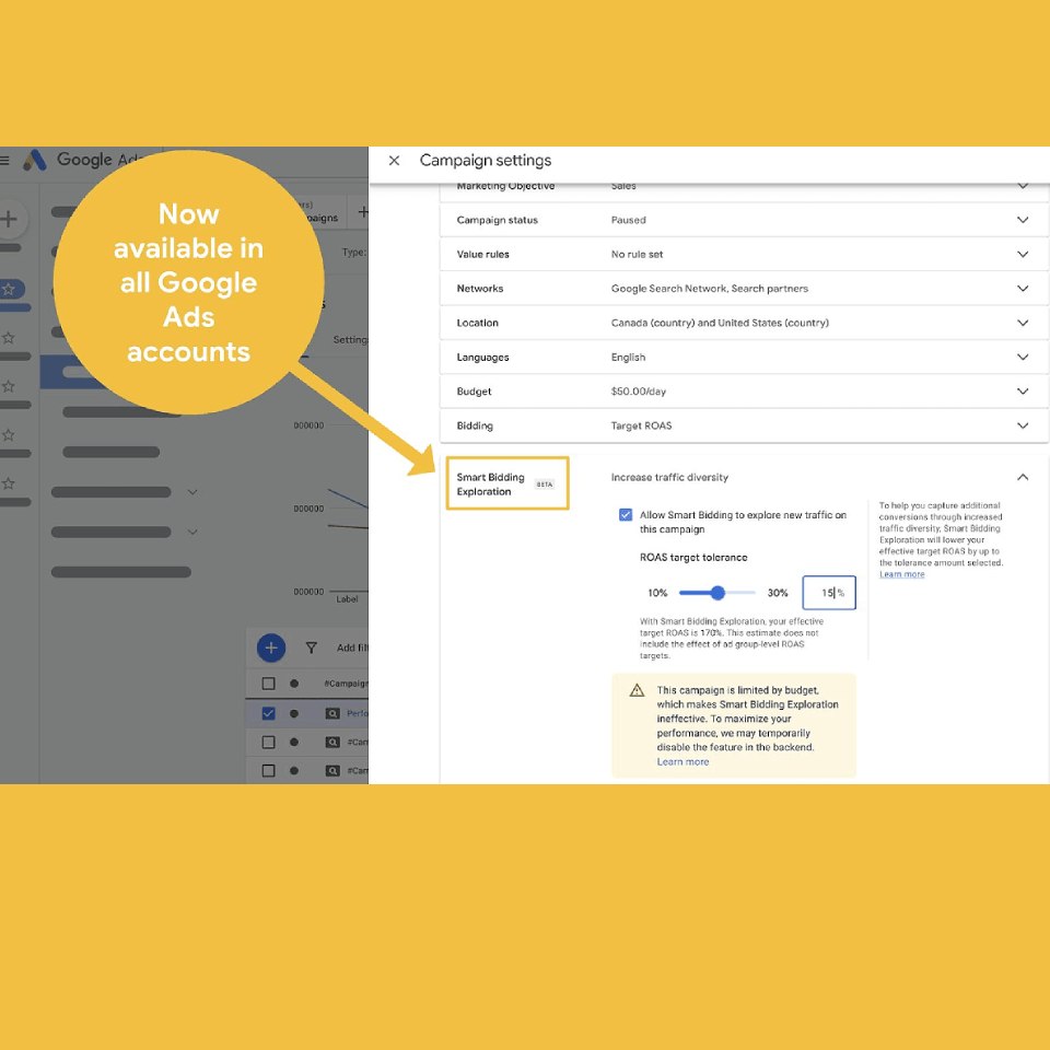 Aperèu option mart bidding google ads