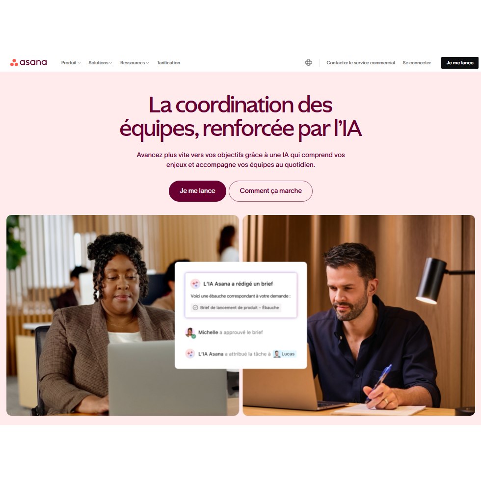 Asana - aperçu interface
