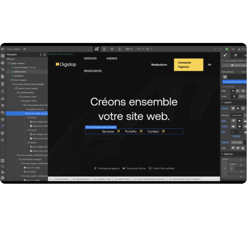 Webflow aperçu
