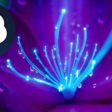 OpenAI lance Sora 2 : de quoi ce générateur de vidéo IA nouvelle génération est-il capable ?
