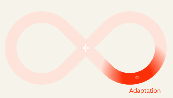 Loop marketing - Phase Adaptation