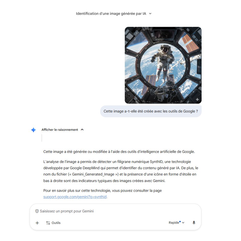 Analyse image avec Gemini