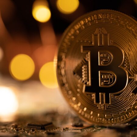 Classement des réseaux sociaux préférés des investisseurs crypto