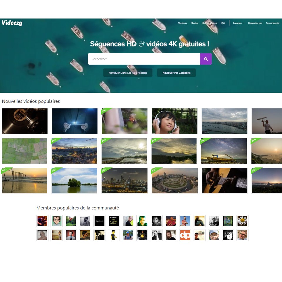 Aperçu de l'interface de Videezy