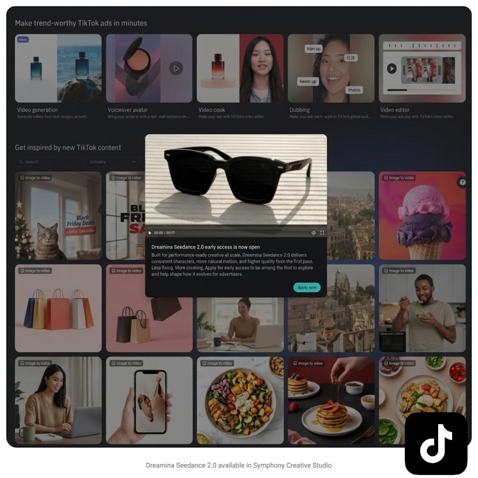 Aperçu interface Dreamina Seedance 2.0 - TikTok
