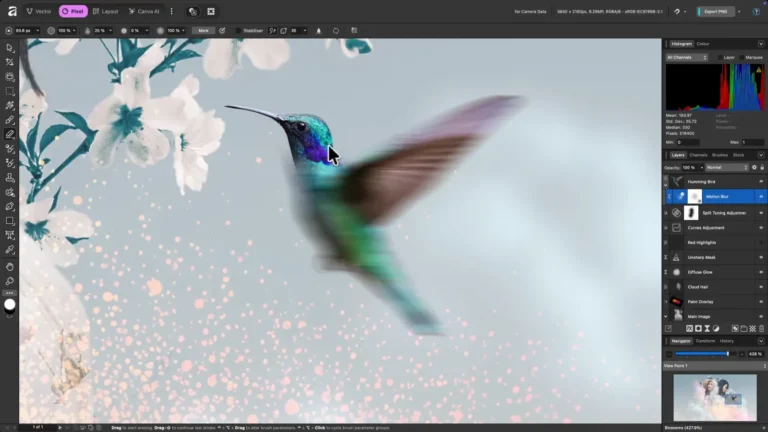 Studio Pixel d'Affinity retouchant la photo d'un colibri, avec histogramme et pile de calques de réglages