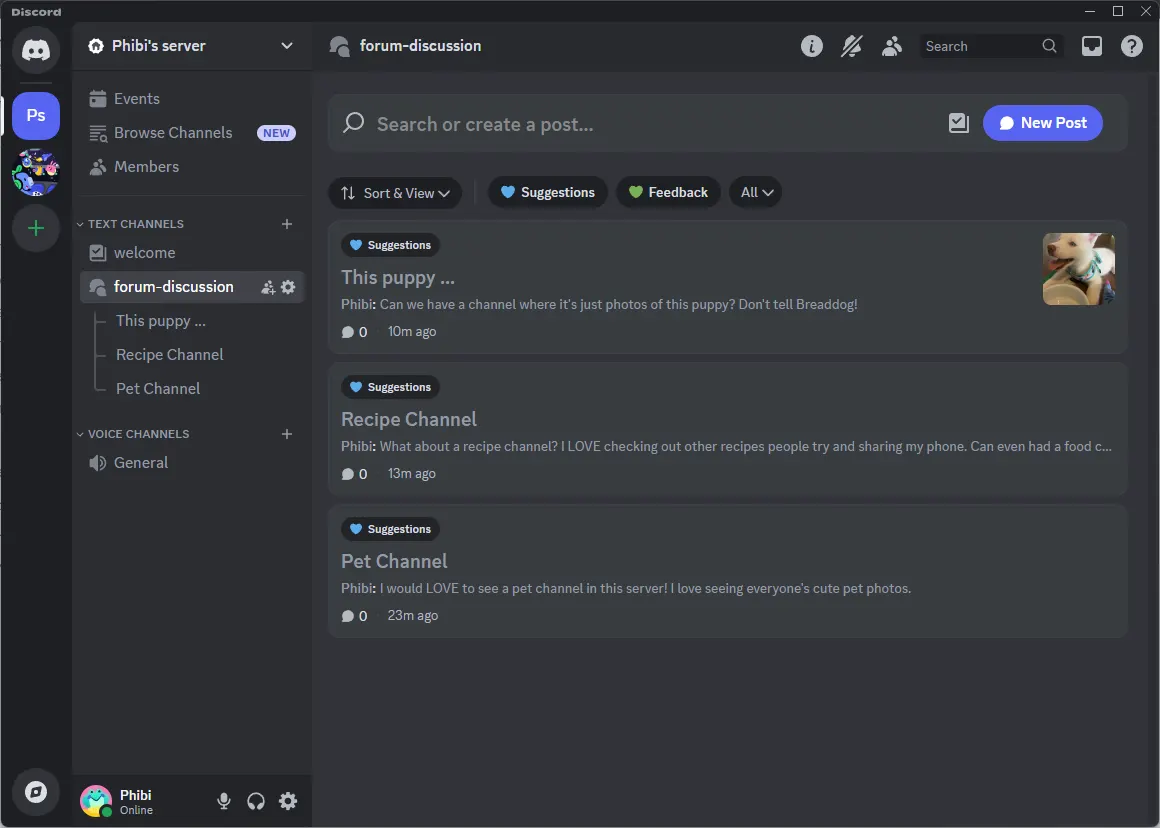 Salon forum Discord sur ordinateur avec posts tagués Suggestions, barre de recherche et bouton New Post