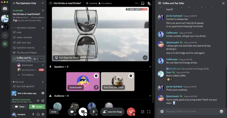Salon de conférence Discord avec stream en 1080p, intervenants, audience et discussion textuelle à droite