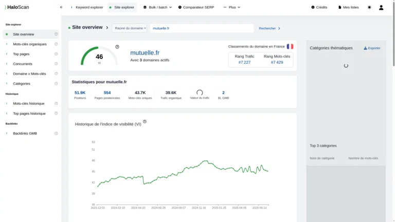 Site overview de HaloScan : indice de visibilité VI, positions, pages positionnées, trafic organique et courbe historique du VI