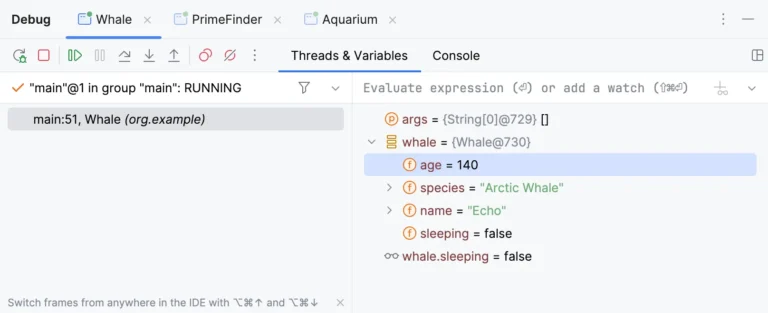 Fenêtre de débogage d'IntelliJ IDEA avec threads, variables d'un objet et champ d'évaluation d'expression